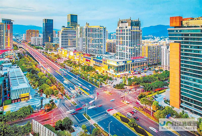 龙岩专业网站建设公司：助力您的企业在线腾飞