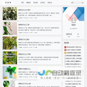 看植物